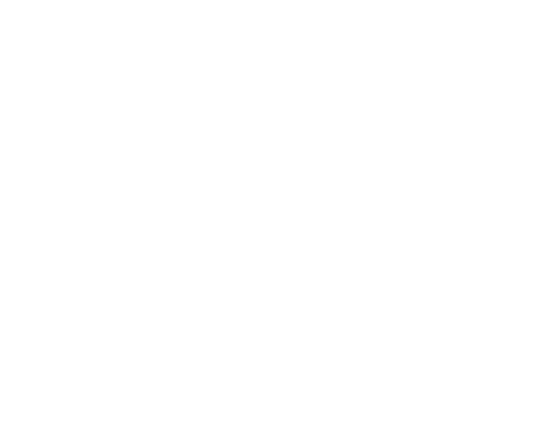 Adventure Begins